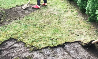 Снятие дерна старого газона в Чебоксарах – от 522 руб. | МонолитЧбк